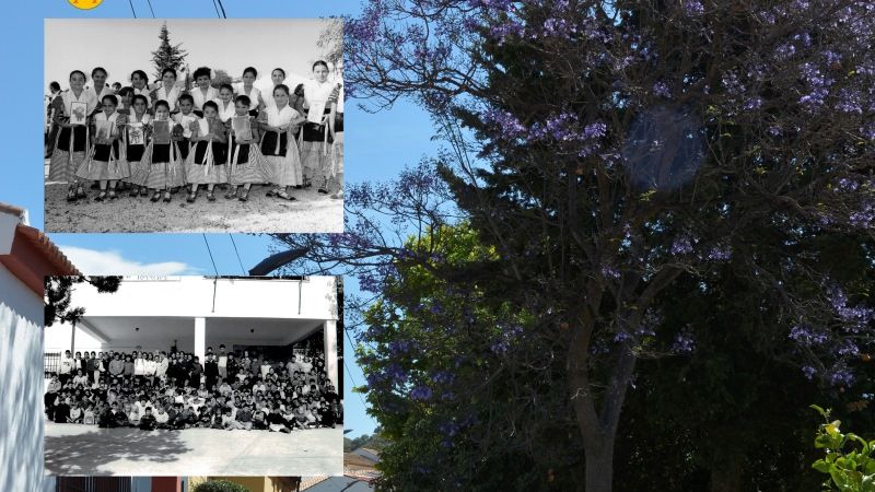 La exposición de fotografías 'Evolución de las barriadas' llega a Torrealquería