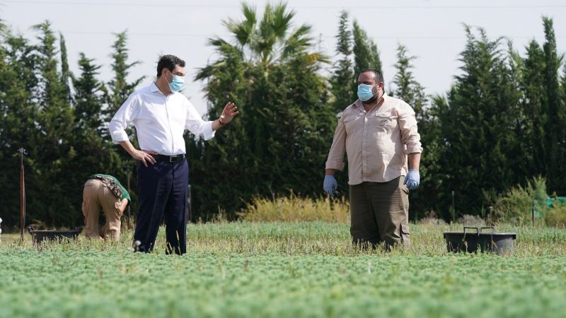 Moreno destaca el aumento del 60% de la inversión para la reforestación dentro de la revolución verde