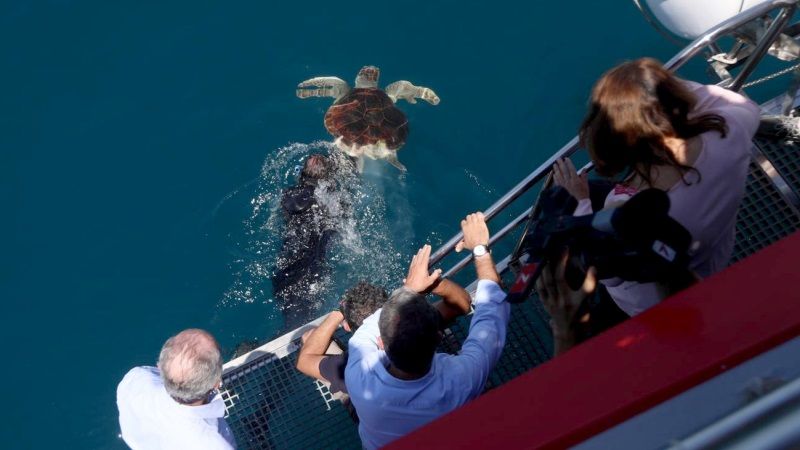 La Junta retomará la colaboración con el Aula del Mar para la recuperación de especies amenazadas