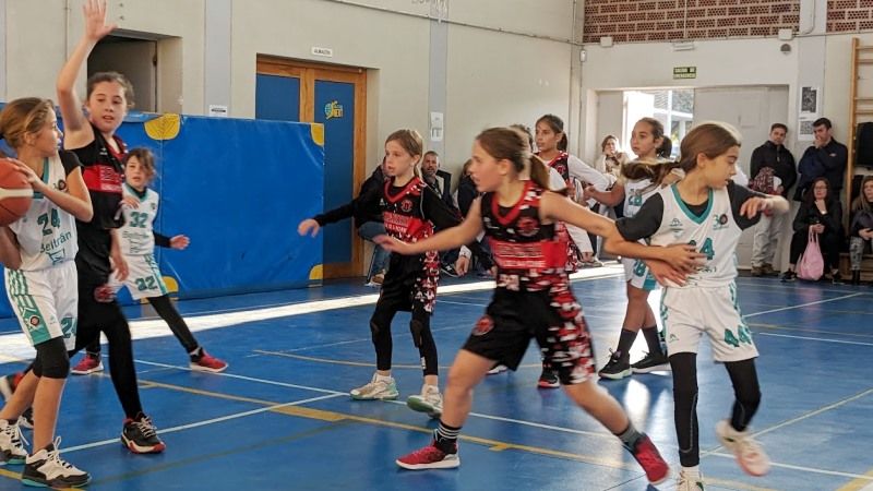 Pleno de victorias del CB Algazara en la jornada del sábado 28 de enero