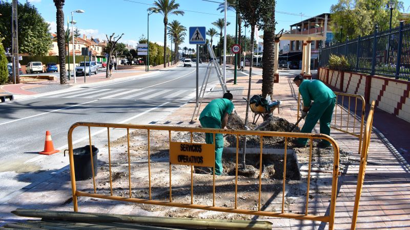 Alhaurín de la Torre planta nuevas especies de árboles en su travesía urbana
