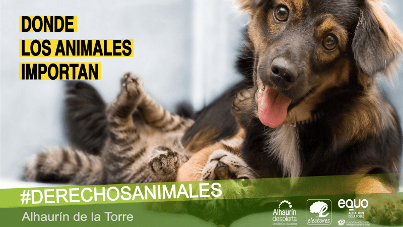 ELECTORES (Alhaurín Despierta) propone la creación de un albergue municipal para animales y el sacrificio cero en Alhaurín