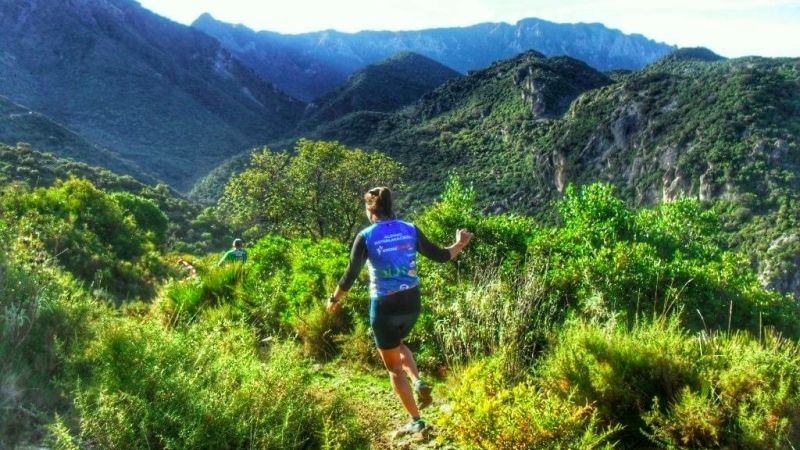 Se abre el plazo de inscripción para la VII Media Maratón de Montaña y Carrera Popular Alhaurín de la Torre
