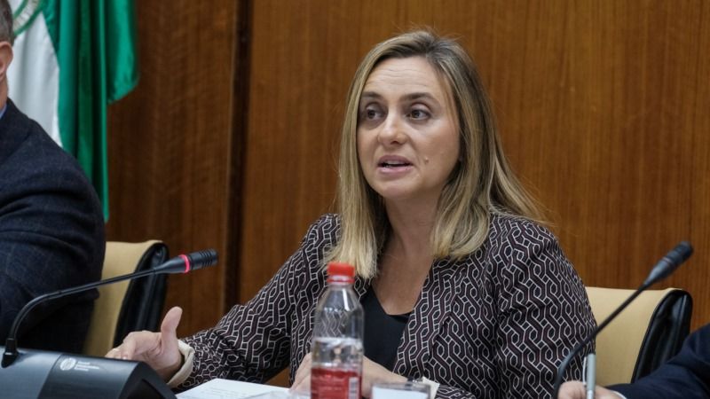 Marifrán Carazo anuncia una nueva convocatoria de ayudas para construir viviendas de alquiler