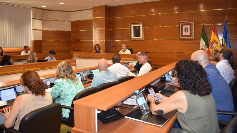 El Pleno aprueba otras 22 iniciativas procedentes de los Consejos Sectoriales de Participación Ciudadana
