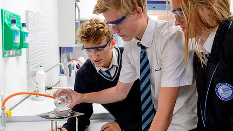 Aloha College: la oportunidad de que tus hijos estudien en un colegio británico