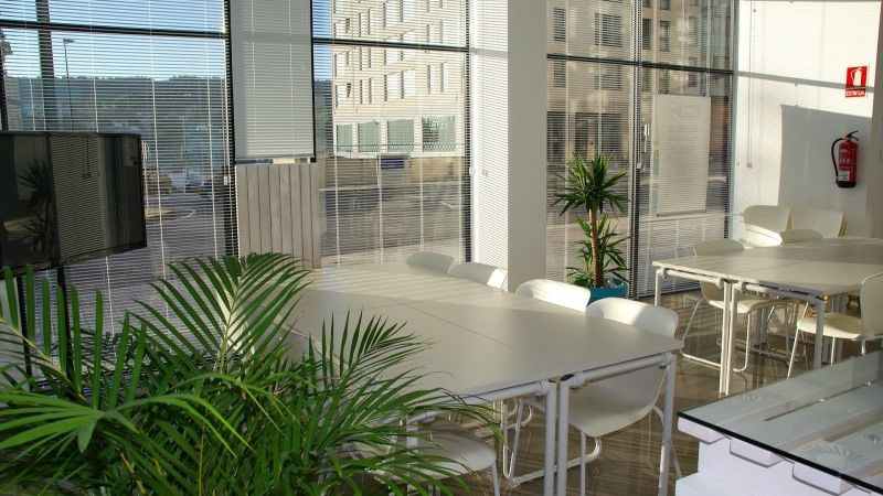 Ecolaboral: el nuevo coworking en Málaga