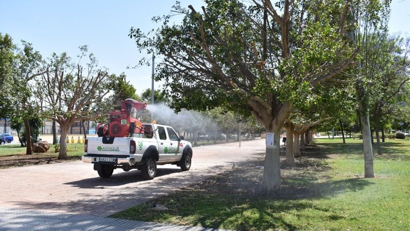 Alhaurín de la Torre combate el mosquito tigre con un programa pionero de prevención y control