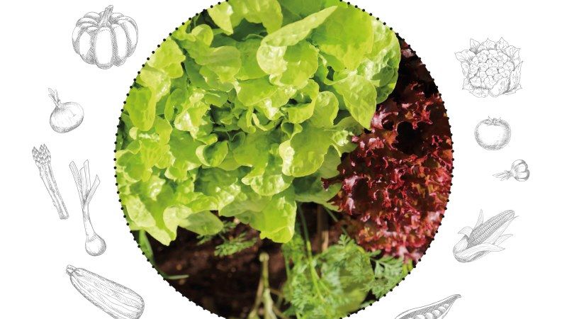 Taller de Huerto Urbano este fin de semana en El Portón