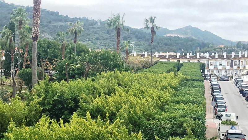 El Ayuntamiento ejecuta la poda y limpieza de las zonas verdes de Jardines de Alhaurín
