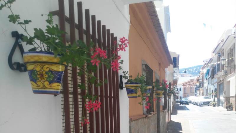 El Ayuntamiento instala maceteros en las fachadas para embellecer El Chorrillo