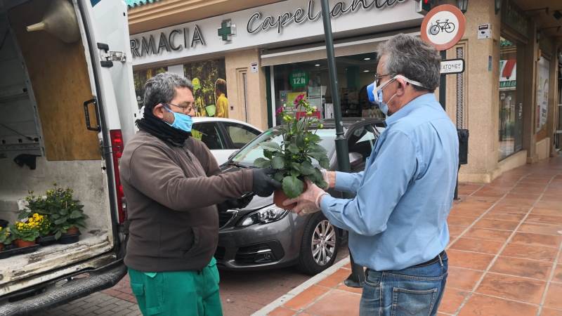 El Ayuntamiento de Alhaurín de la Torre repartirá dos mil plantas de temporada cedidas por Viveros Guzmán