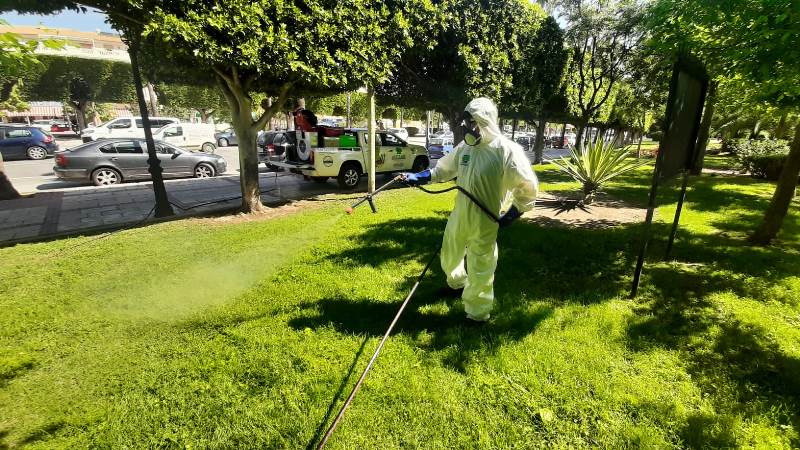 Nueva campaña preventiva de fumigación contra el mosquito tigre