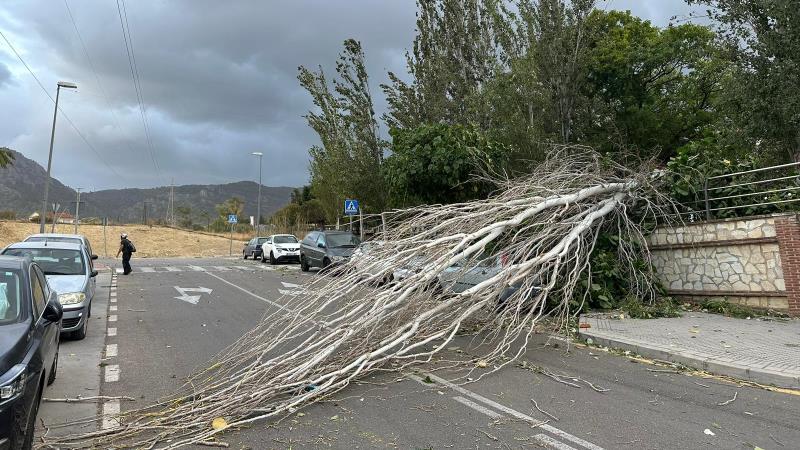 Los servicios municipales de emergencia atienden 159 avisos por la acción del temporal