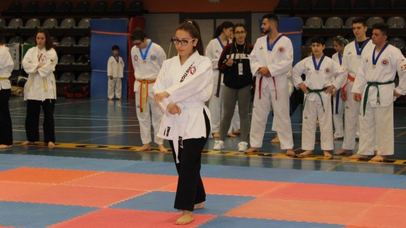 Multitudinaria jornada de artes marciales en Alhaurín de la Torre