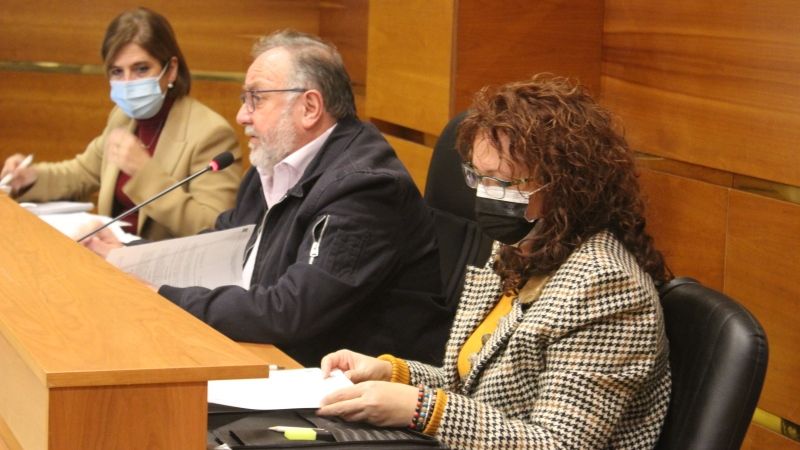El Consejo de Participación Ciudadana respalda casi medio centenar de propuestas
