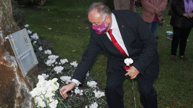 Concluyen los actos con motivo del Día Internacional de la Eliminación de la Violencia contra la Mujer
