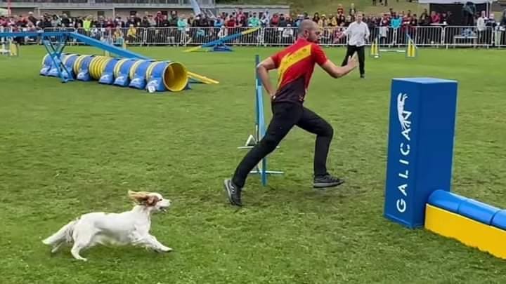 Javier Márquez y Penny quedan cuartos en el abierto Europeo 2023 de Agility