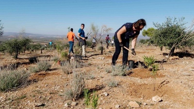 Premiado el proyecto ‘Málaga Viva’, iniciativa de la Diputación para luchar contra el cambio climático