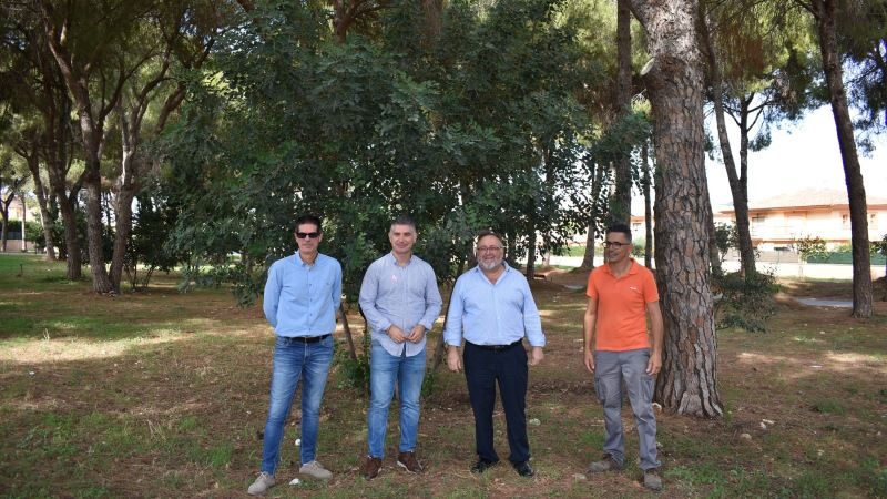 El Ayuntamiento creará en el pinar de Taralpe un gran parque con juegos y rocódromo