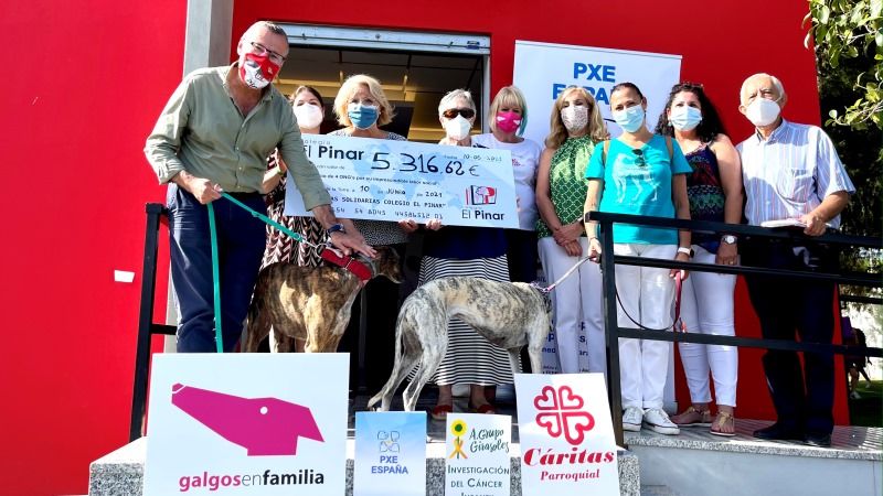 El Colegio El Pinar dona los más de 5.300 euros de sus Jornadas Solidarias a organizaciones y colectivos de acción social malagueños