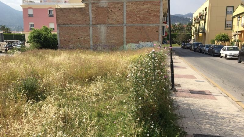 PSOE consigue la unanimidad del Pleno para instalar una escultura para depositar tapones con fines solidarios