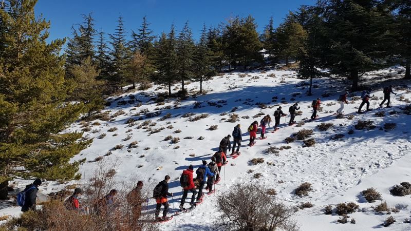 Aventura polar en Sierra Nevada