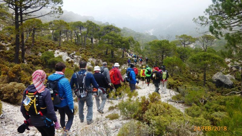 El C.D. Alpino Jarapalos en la XV Travesía Granada La Costa por la Almijara