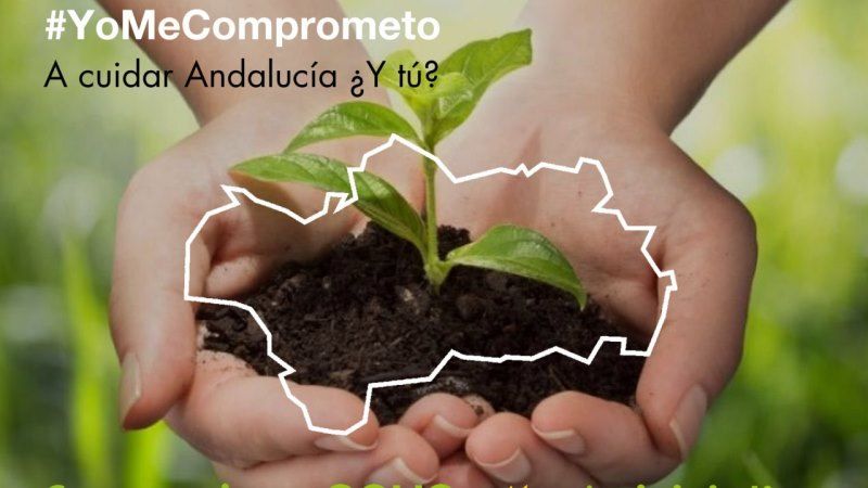 2D: Los compromisos de EQUO VERDES con Andalucía