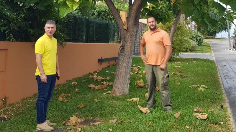 El Ayuntamiento trasplantará los árboles de Taralpe a zonas verdes alejadas de viviendas