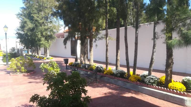 El Cementerio Municipal permanecerá cerrado hasta el 29 de octubre por mejoras
