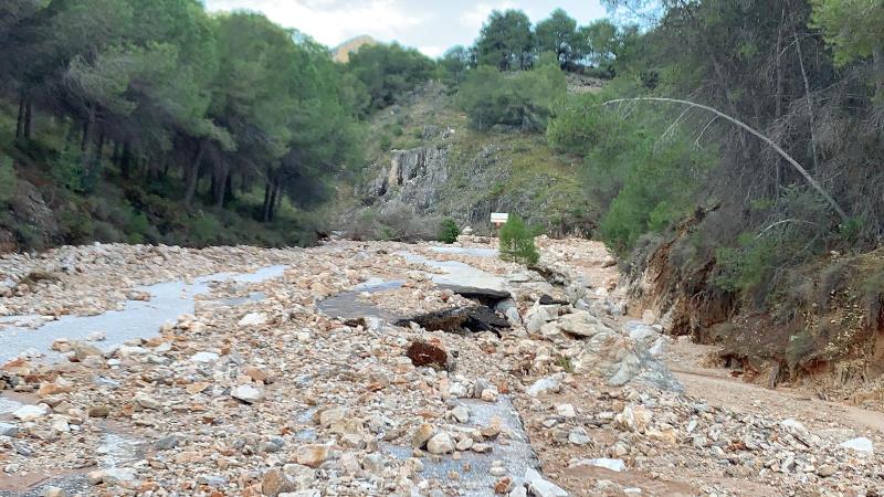 Alhaurín de la Torre vuelve a la normalidad tras el intenso trabajo del dispositivo de limpieza