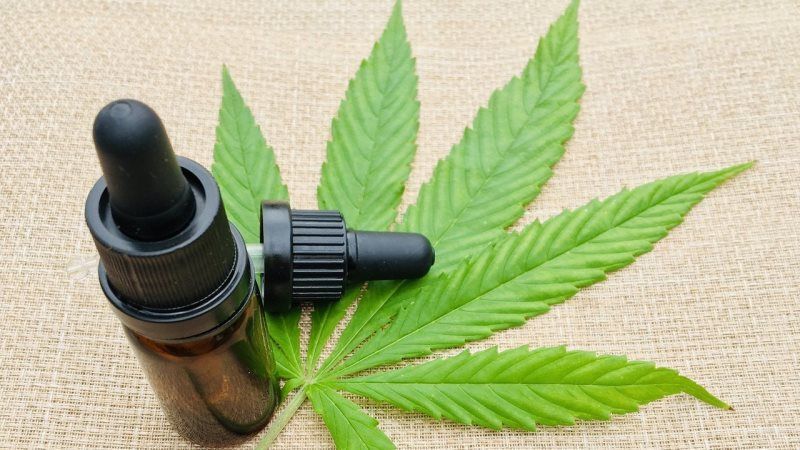 ¿Qué es el aceite de cannabis?