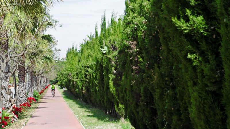Villanova priorizará un Plan Integral para la Mejora de la Conexión por Carreteras y Carril-Bici