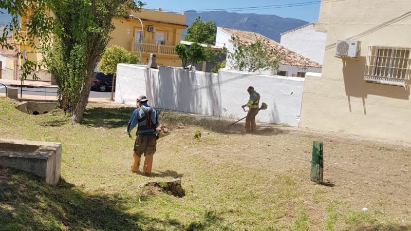 El Ayuntamiento informa a los propietarios de solares privados de su obligación de mantenerlos limpios