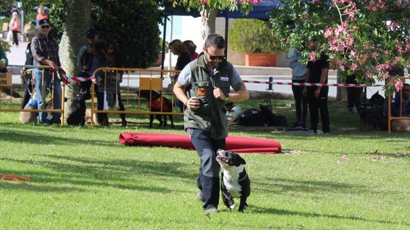 Alhaurín de la Torre acogerá el próximo 5 de octubre la tercera edición del Día del Perro