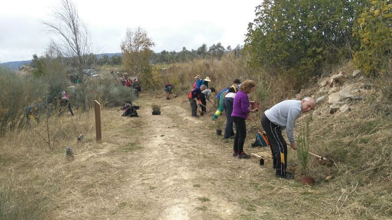 Diputación organiza en marzo plantaciones participativas para recuperar espacios degradados en seis municipios