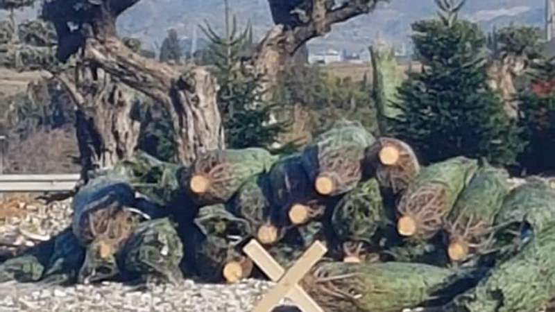 Grupo Municipal AAT: " Obras son amores, y no buenas razones"