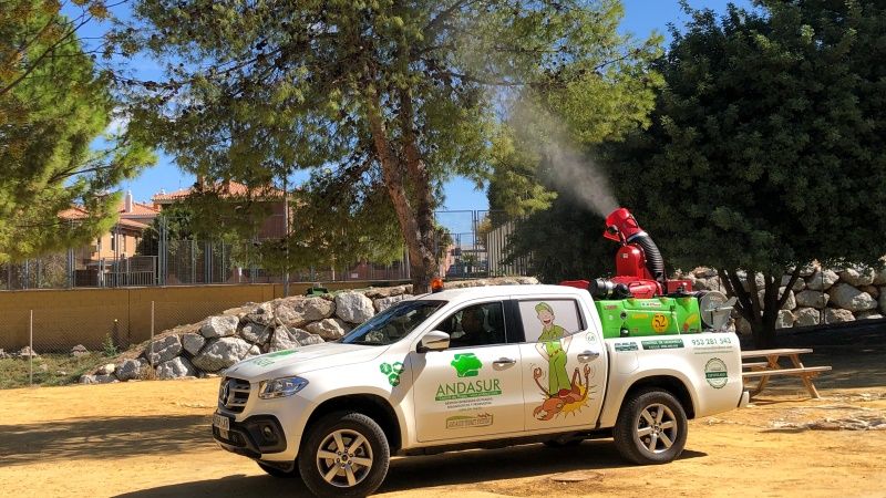 El Ayuntamiento acomete la segunda fase del plan anual de fumigación de la procesionaria del pino