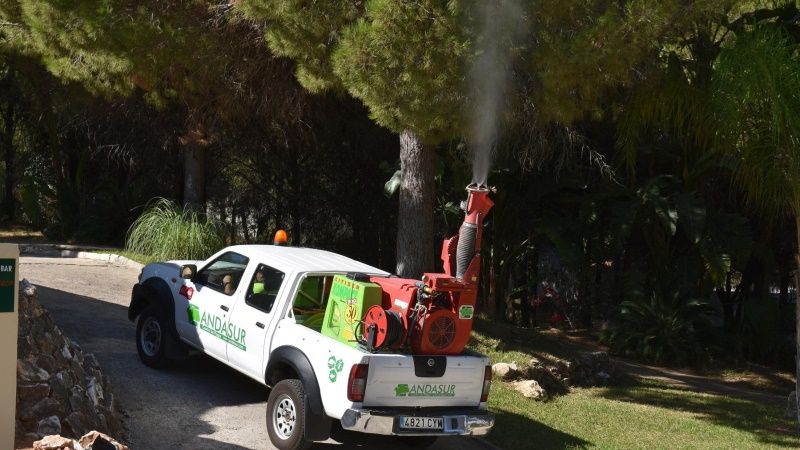 El PSOE de Alhaurín de la Torre pide al Ayuntamiento que adelante la campaña contra la procesionaria en los parques
