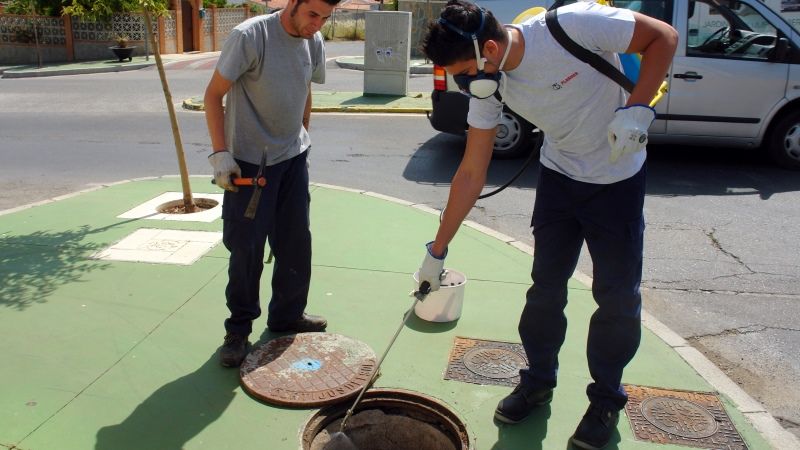 El próximo lunes, 26 de agosto, comienza una nueva campaña de desinsectación y desratización