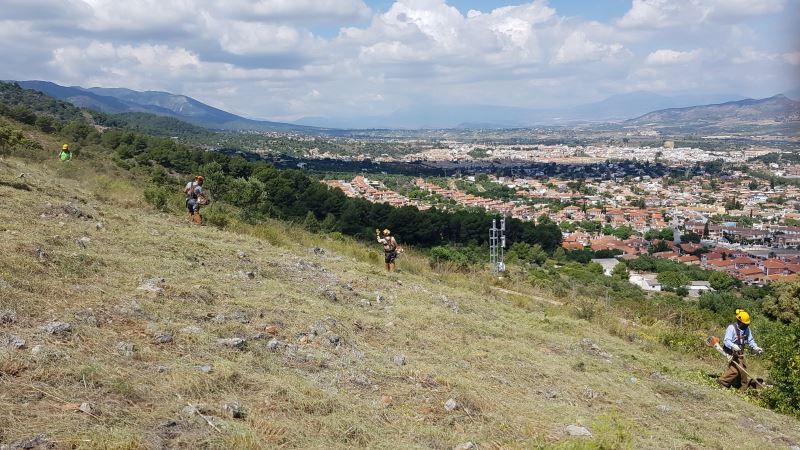 El Ayuntamiento ejecuta la limpieza de los cortafuegos que protegen Alhaurín de la Torre