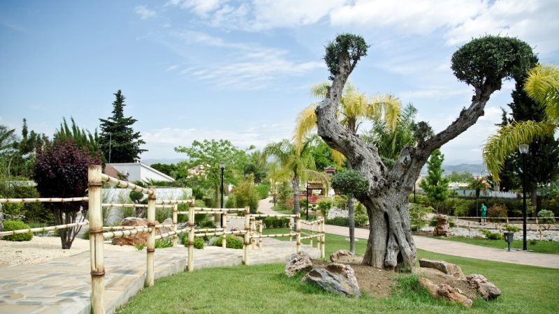 El tejido asociativo de Alhaurín de la Torre recibirá un homenaje el próximo viernes 13 de julio
