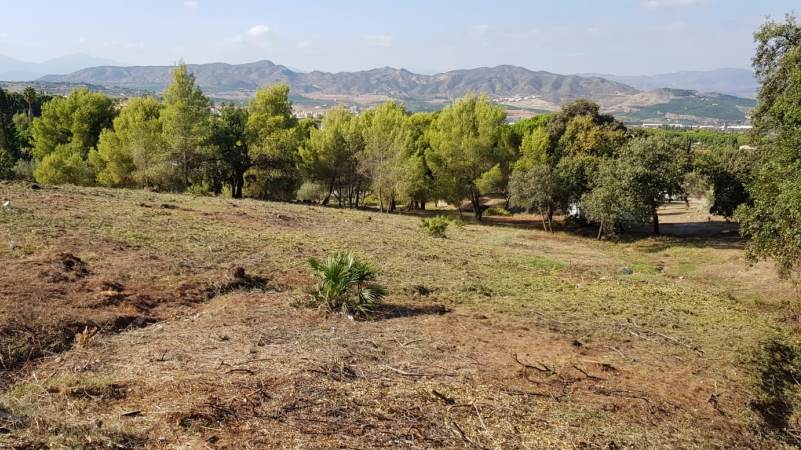 La Fundación acondiciona la parcela para el inicio de la obra del pabellón polideportivo