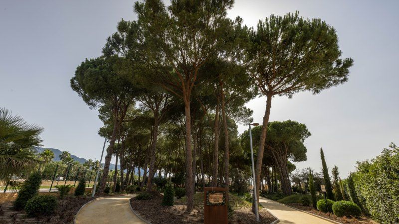 Alhaurín de la Torre se adhiere a la Red de Ciudades Verdes y Sostenibles de Andalucía