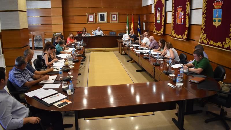 El Pleno pide por unanimidad a la Junta que ejecute la limpieza y mantenimiento de los arroyos