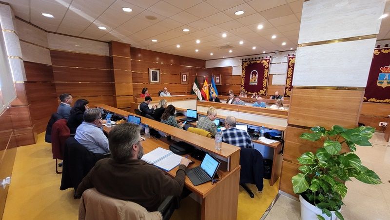 El Pleno aprueba por unanimidad reforzar las mejoras en accesibilidad y movilidad