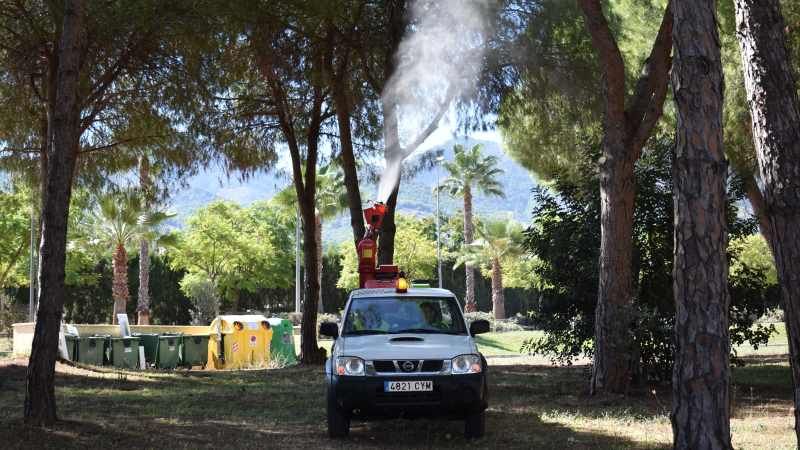 El Ayuntamiento inicia el tratamiento preventivo contra la procesionaria en zonas verdes