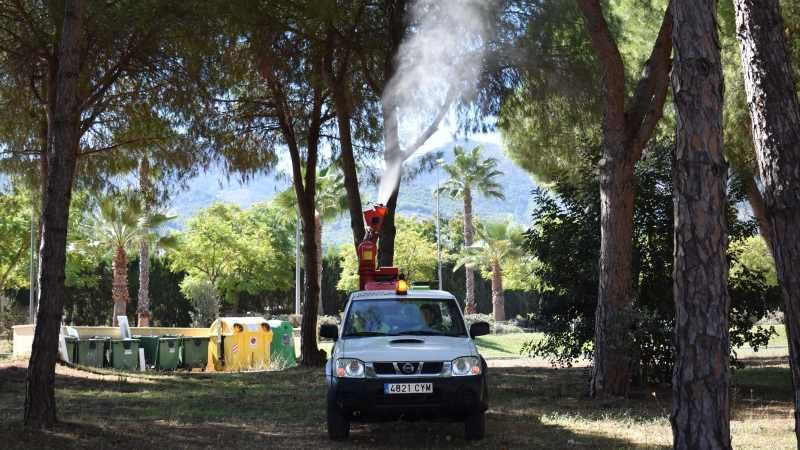 El Ayuntamiento encarga un plan de fumigación contra la procesionaria del pino