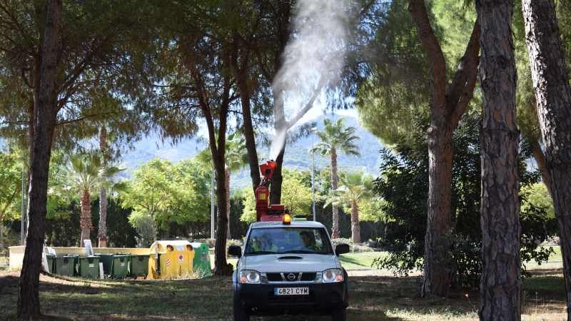 El Ayuntamiento fumiga más de 60 puntos en el municipio para prevenir la procesionaria